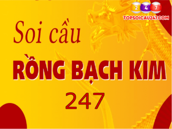 rong bach kim 247