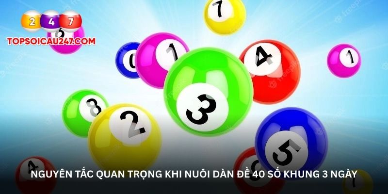 Nguyên tắc quan trọng khi nuôi dàn đề 40 số khung 3 ngày