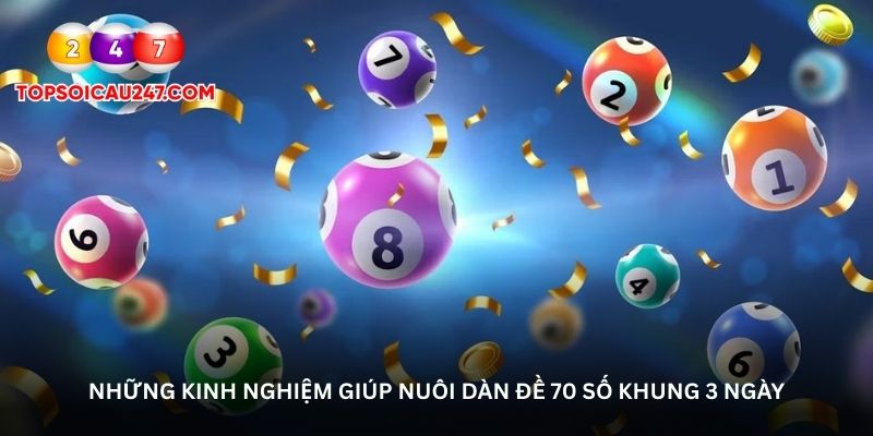 Những kinh nghiệm giúp nuôi dàn đề 70 số khung 3 ngày