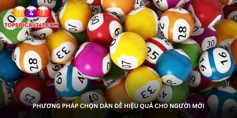 Phương pháp chọn dàn đề hiệu quả cho người mới
